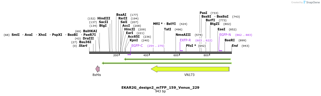 54796_map