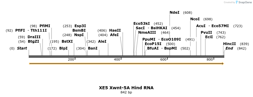 54798_map