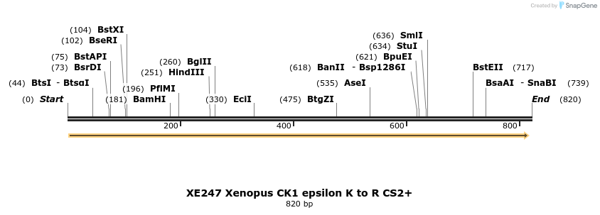 54801_map