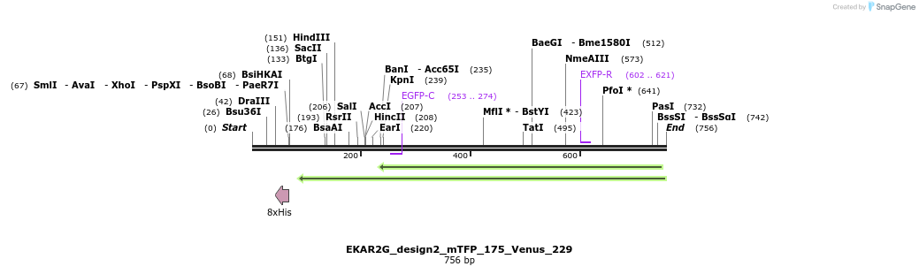 54803_map