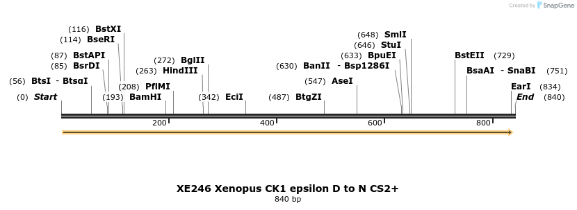 54805_map