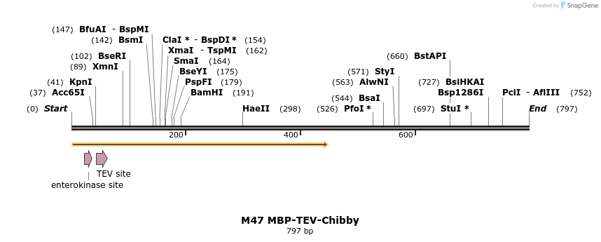54810_map