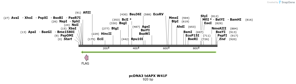 54812_map