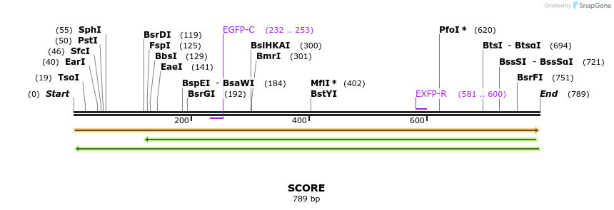 54813_map