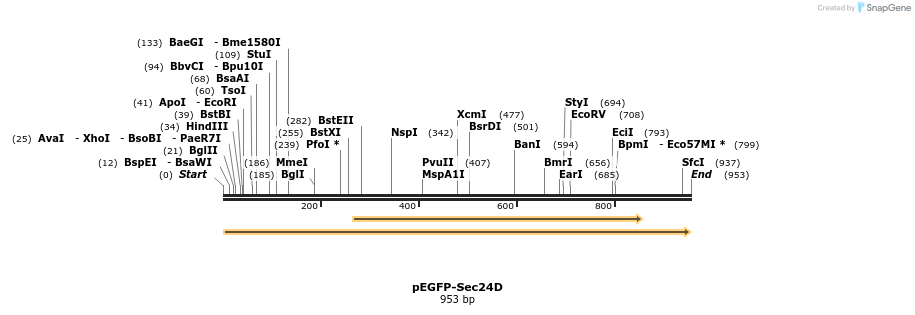 54814_map