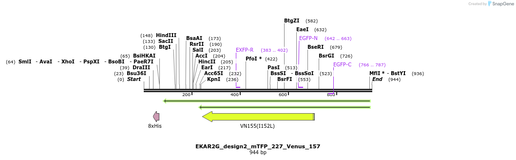 54816_map