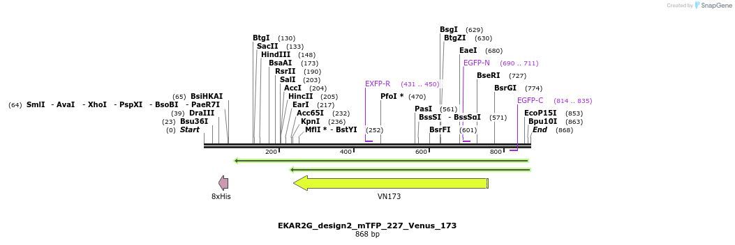 54817_map