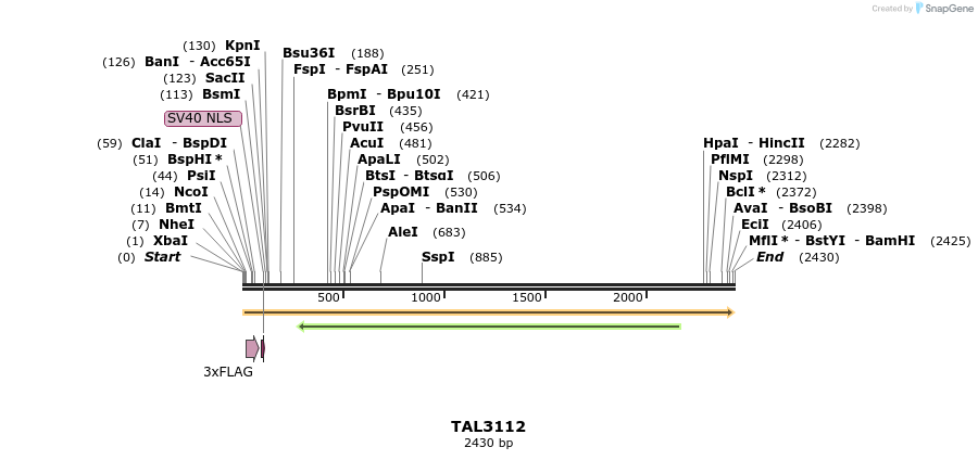 54925_map