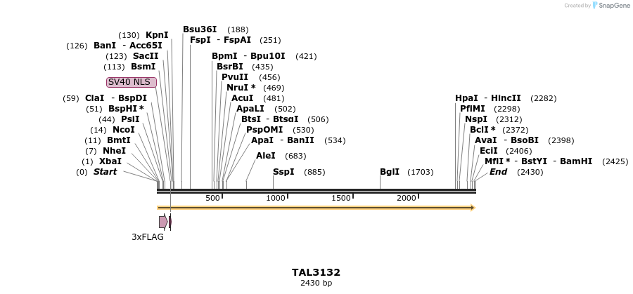 54945_map