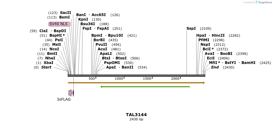 54957_map