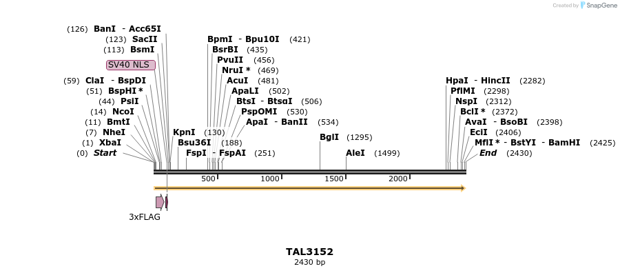 54965_map
