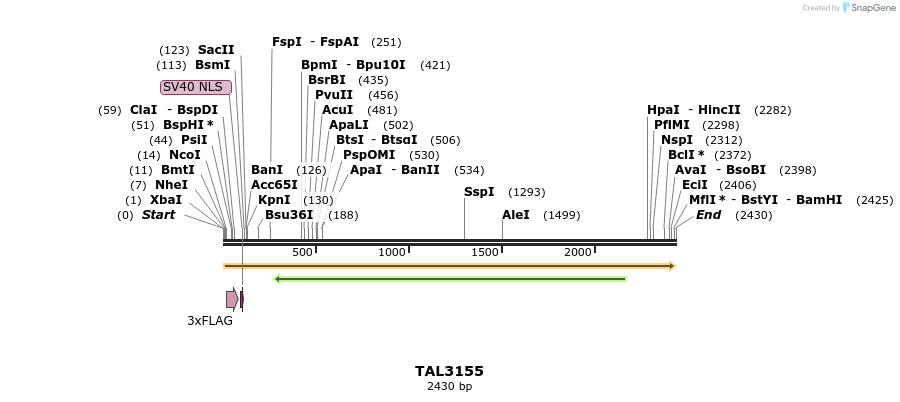 54968_map