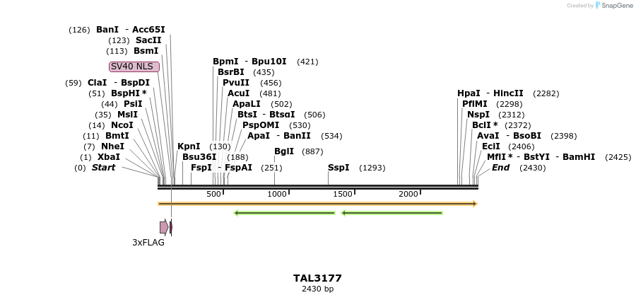 54990_map