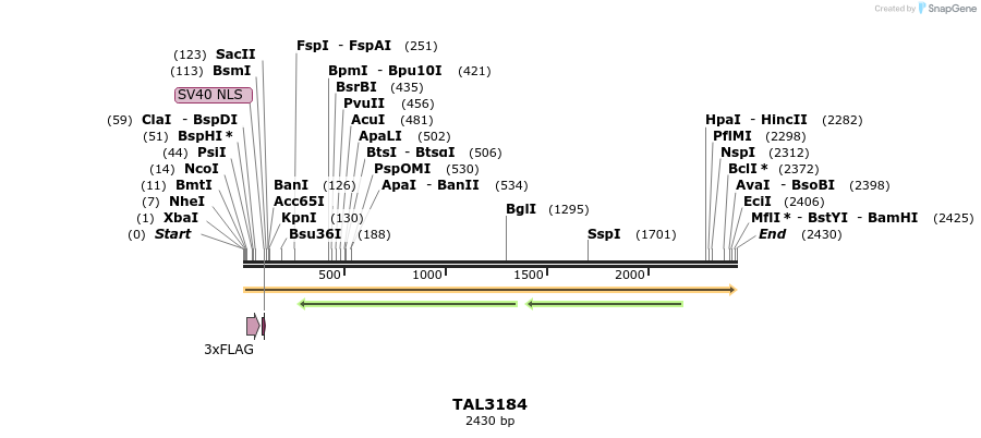 54997_map