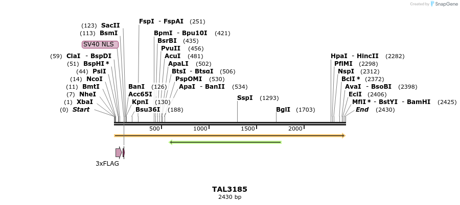 54998_map