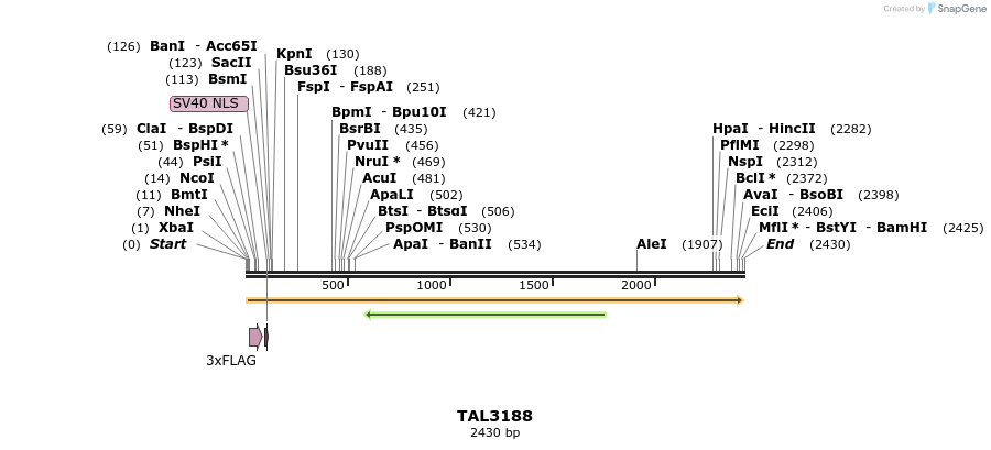 55001_map