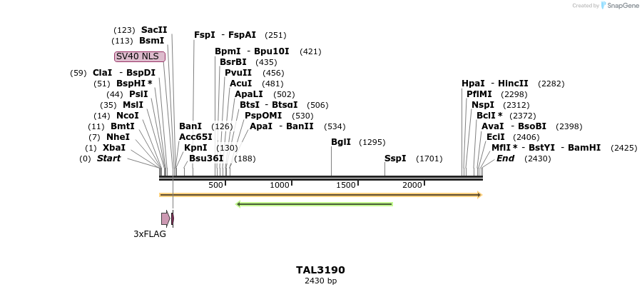 55003_map