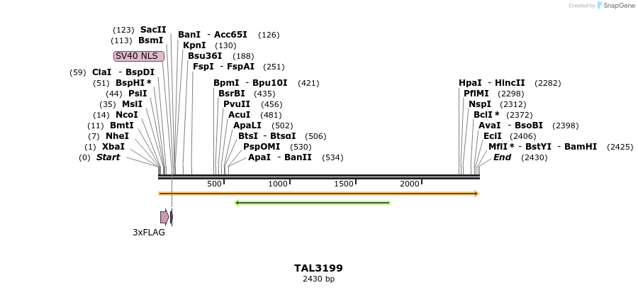 55012_map
