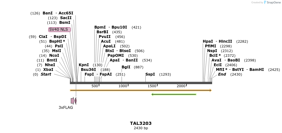 55016_map