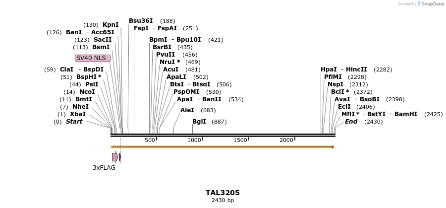 55018_map