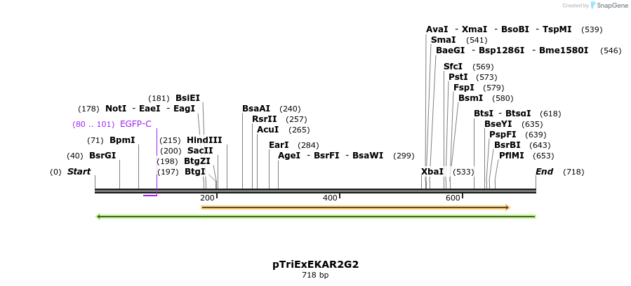 55025_map