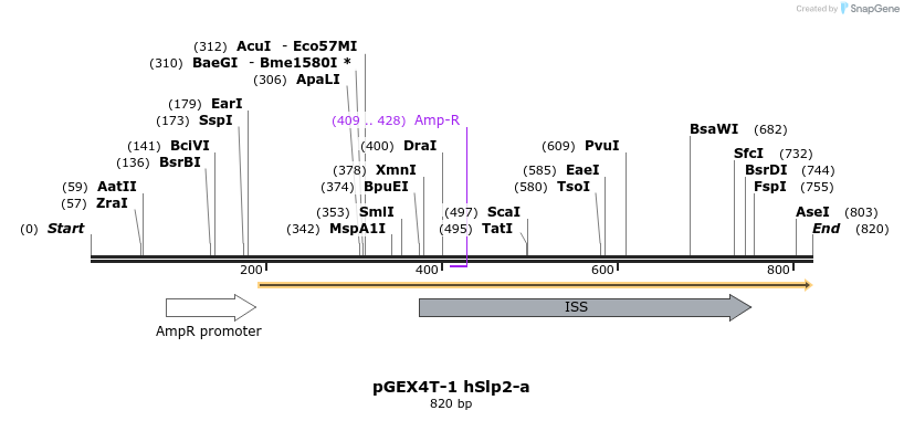 55030_map