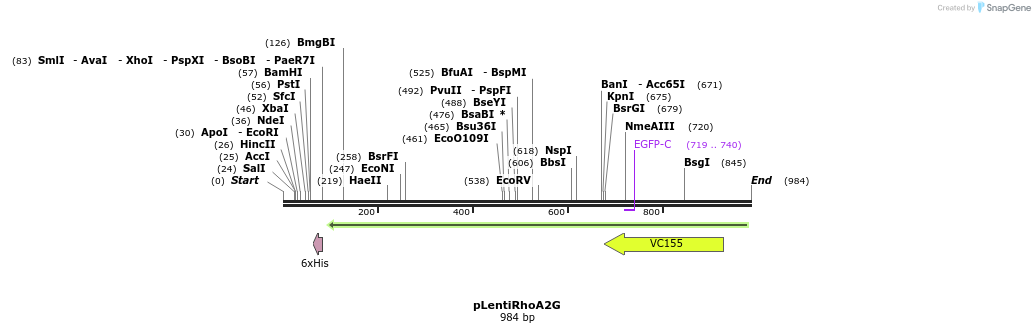 55031_map