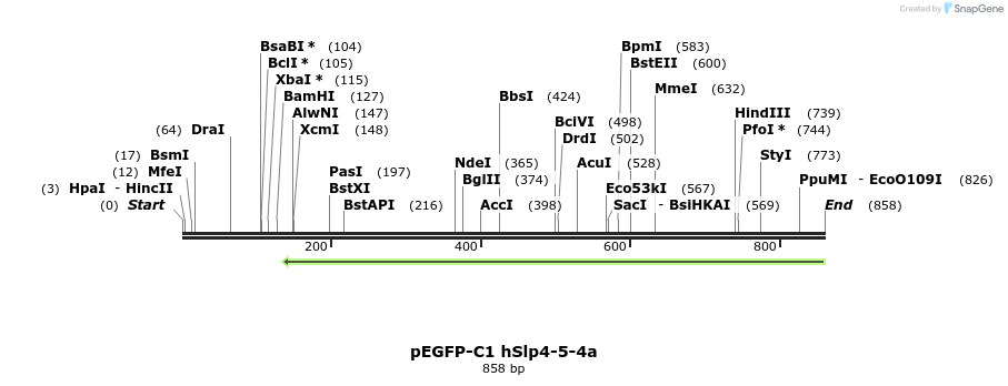 55032_map