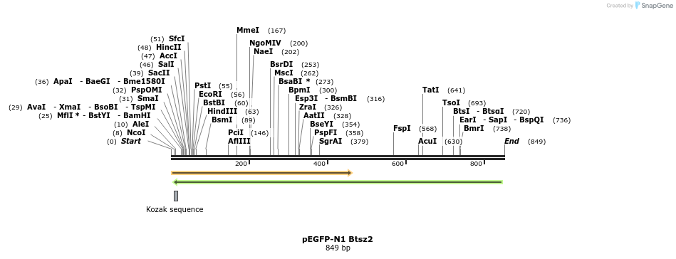 55034_map