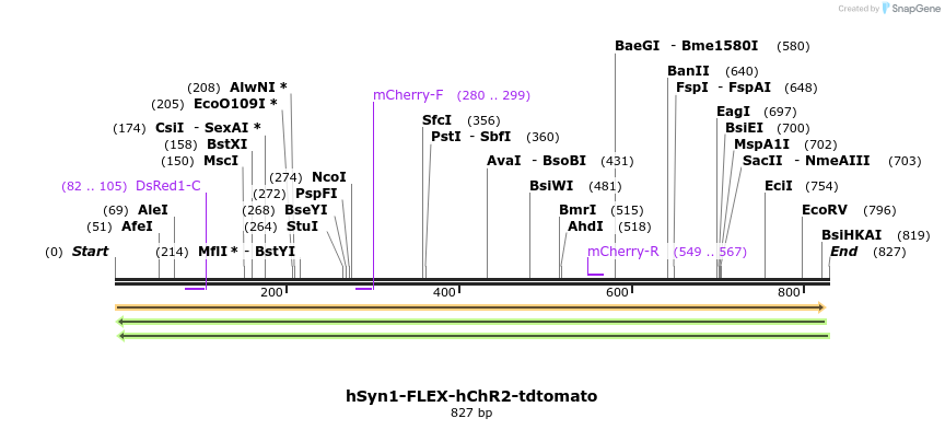 55036_map