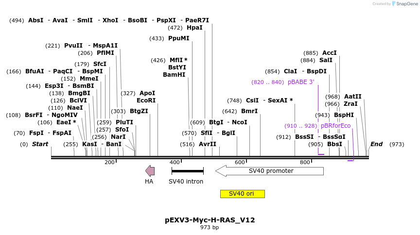 55037_map