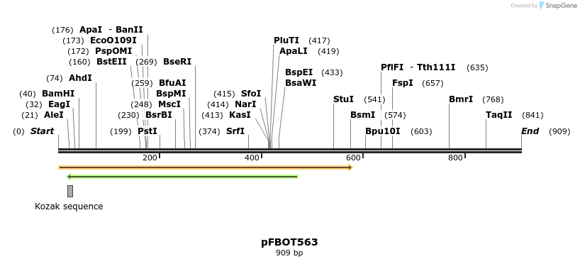 55040_map