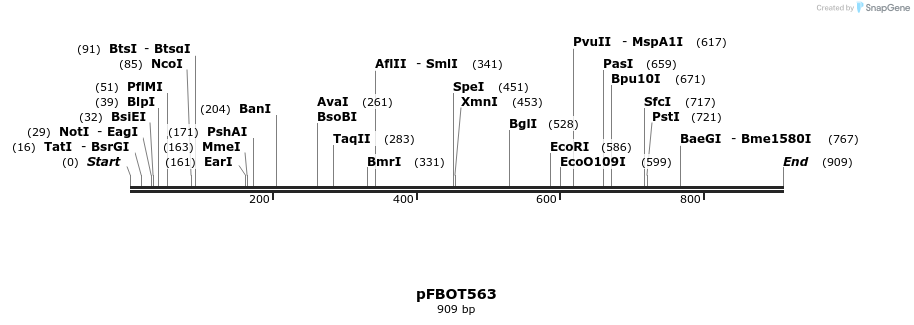 55041_map