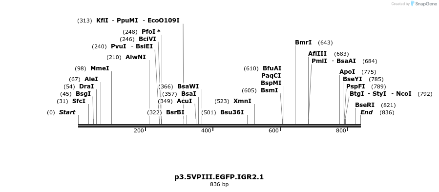 55045_map