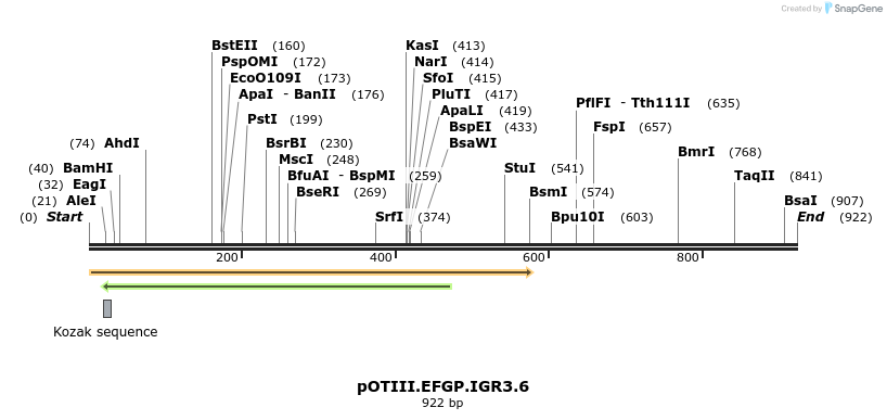 55046_map