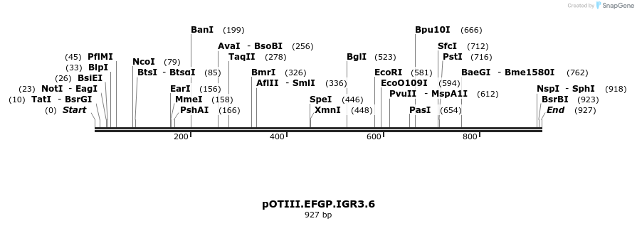 55047_map