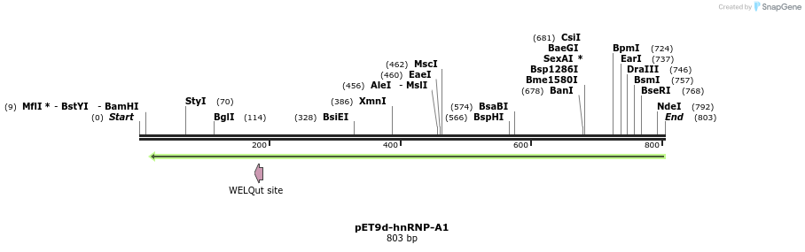 55048_map