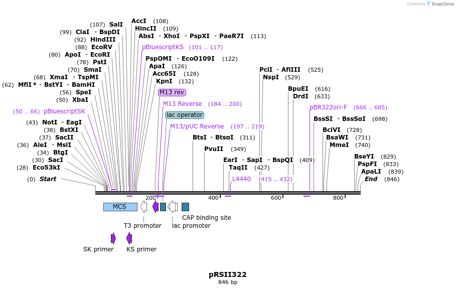 55049_map