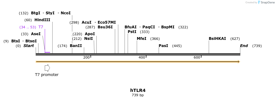 55050_map