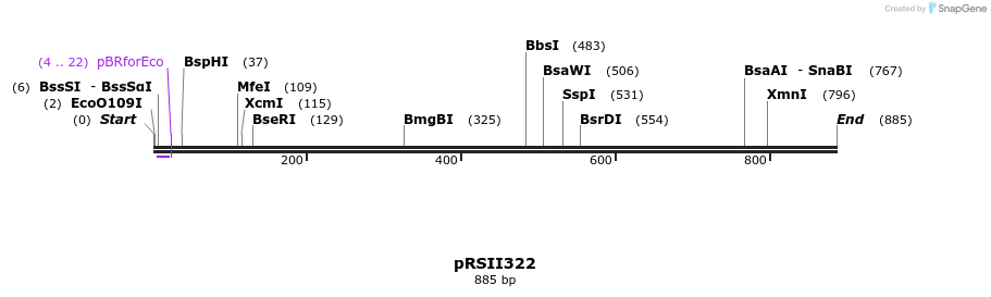 55051_map