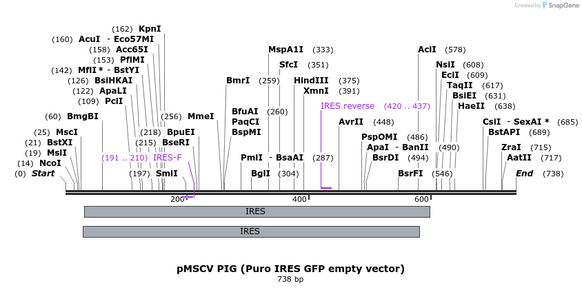 55052_map