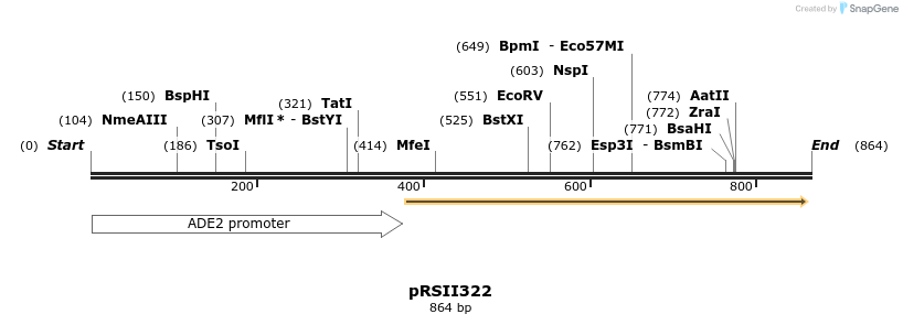 55053_map