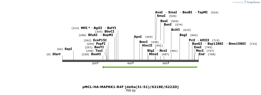 55055_map