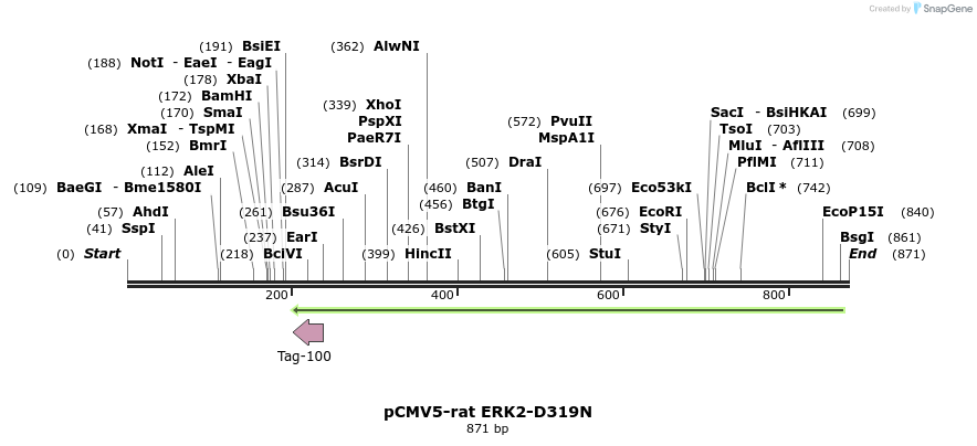 55057_map
