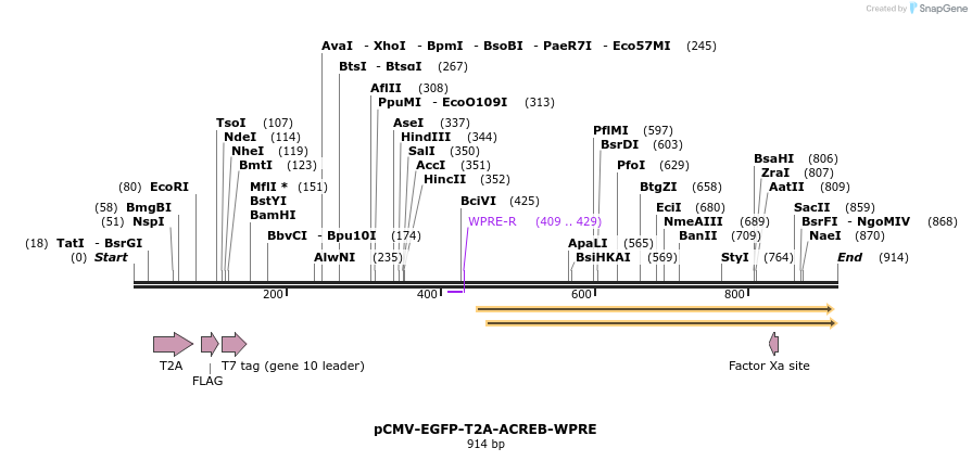 55063_map