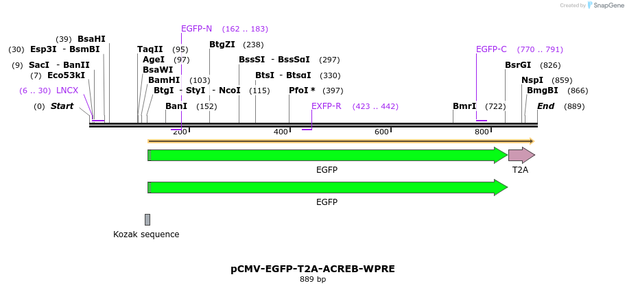 55070_map