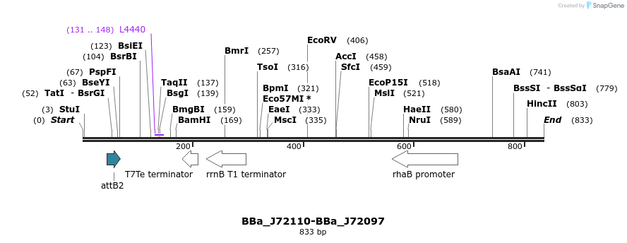 55078_map