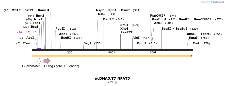 55089_map