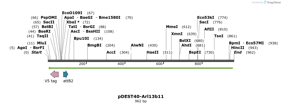 55095_map