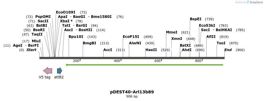 55096_map
